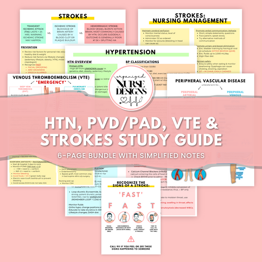 Cardiac Nursing School Study Guide: Hypertension, PVD vs. PAD, DVT, Strokes | Nursing School Notes Bundle