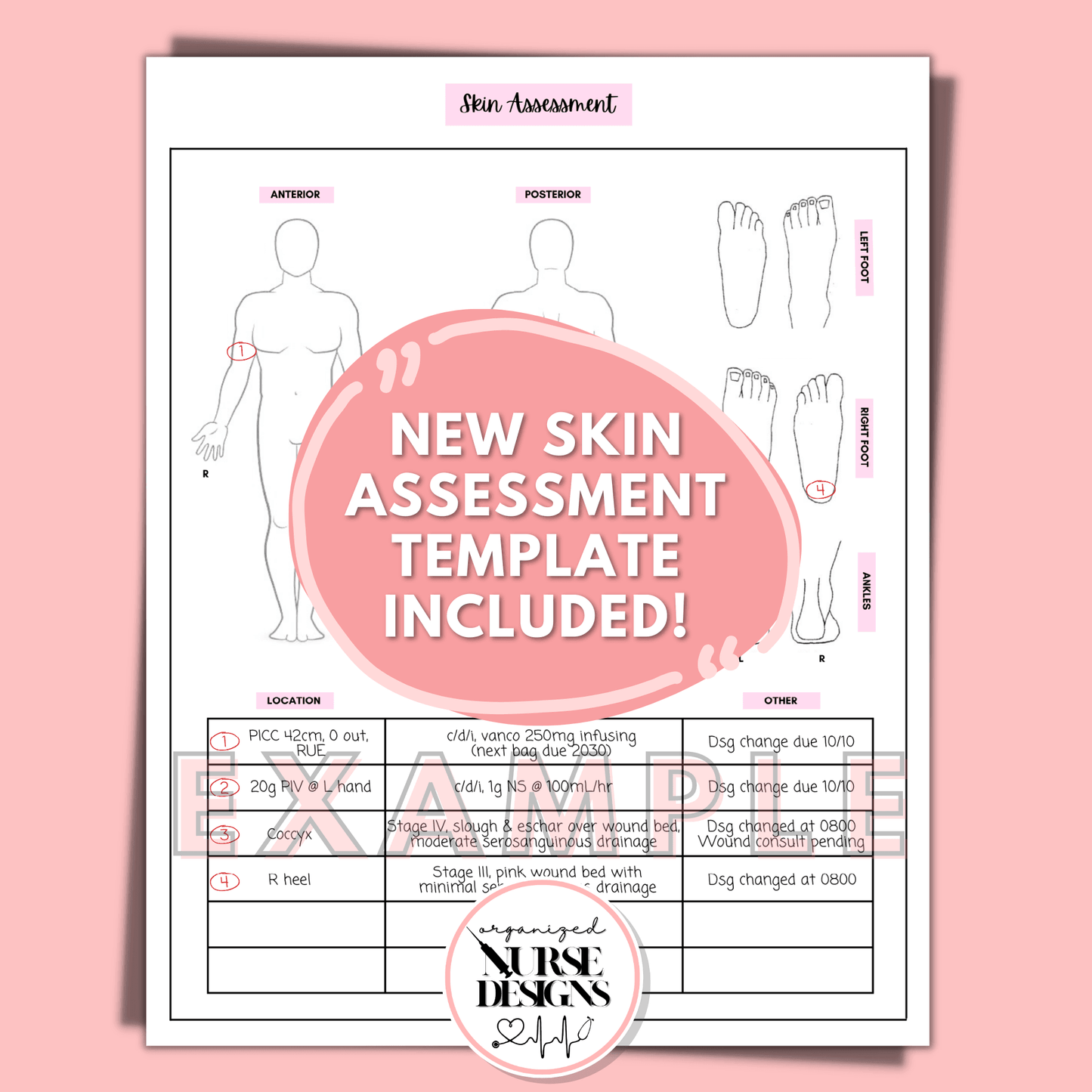 Head-to-Toe Assessment with Step-by-Step Guide for Nursing Students by OrganizedNurseDesigns