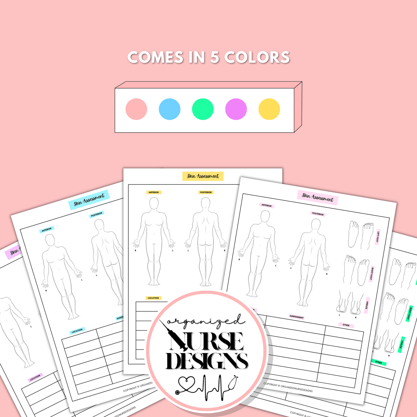 Head-to-Toe Assessment with Step-by-Step Guide for Nursing Students by OrganizedNurseDesigns