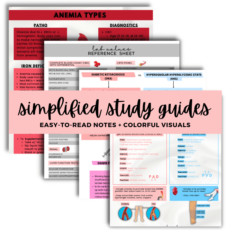 Nursing School Study Guides – OrganizedNurseDesigns