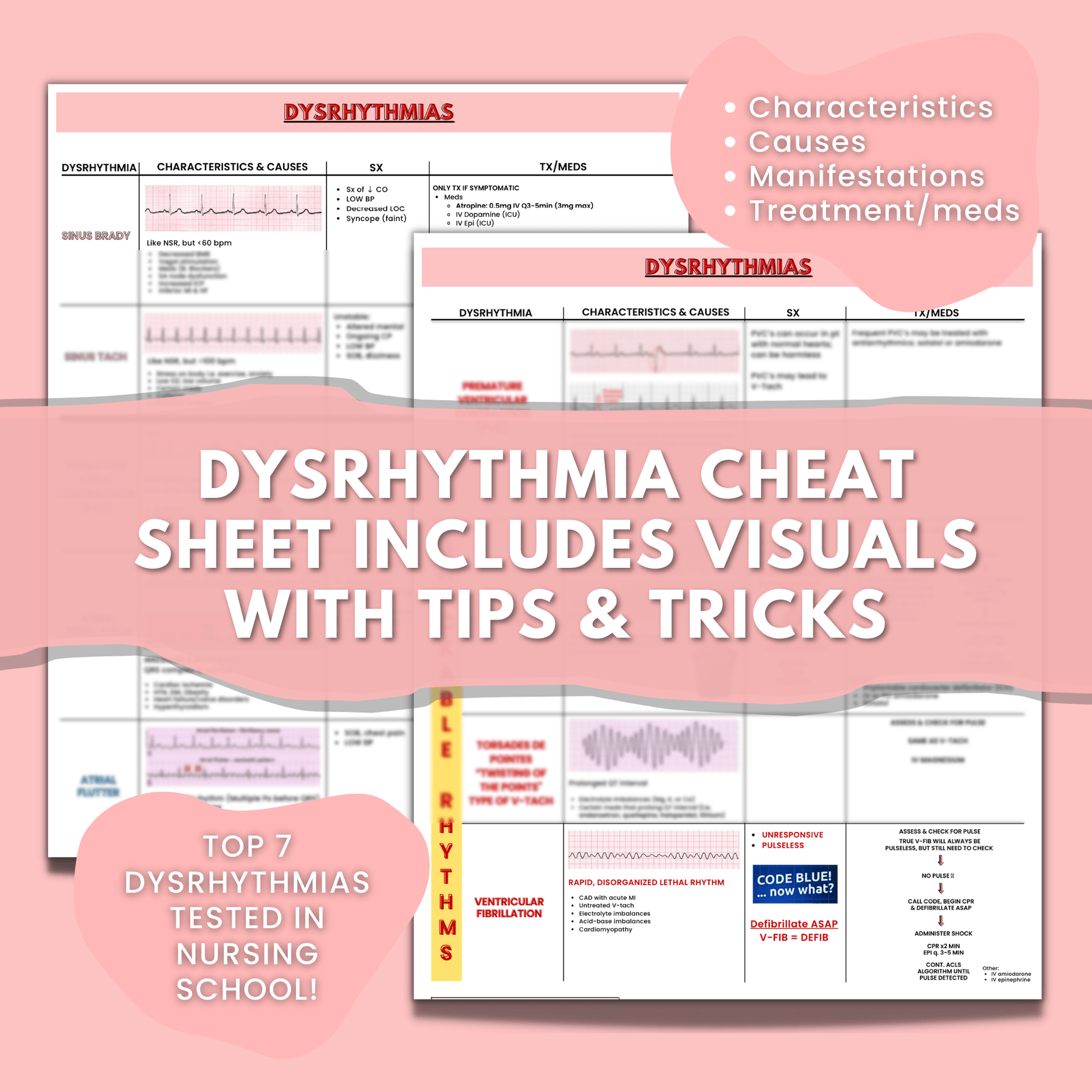 Cardiac Nursing School Study Guide Bundle - EKG & Dysrhythmias – OrganizedNurseDesigns cardiac-nursing-school-study-guide-bundle-ekg-dysrhythmias-organizednursedesigns