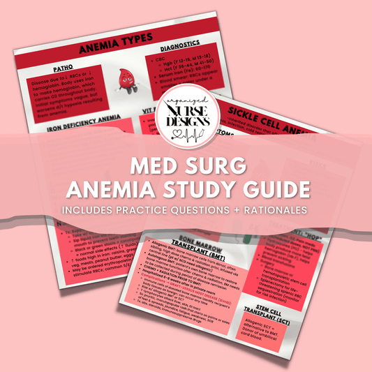 Anemia Study Guide with Practice Questions for Nursing Students by OrganizedNurseDesigns