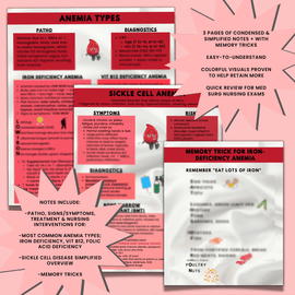 Anemia Study Guide with Practice Questions for Nursing Students by OrganizedNurseDesigns