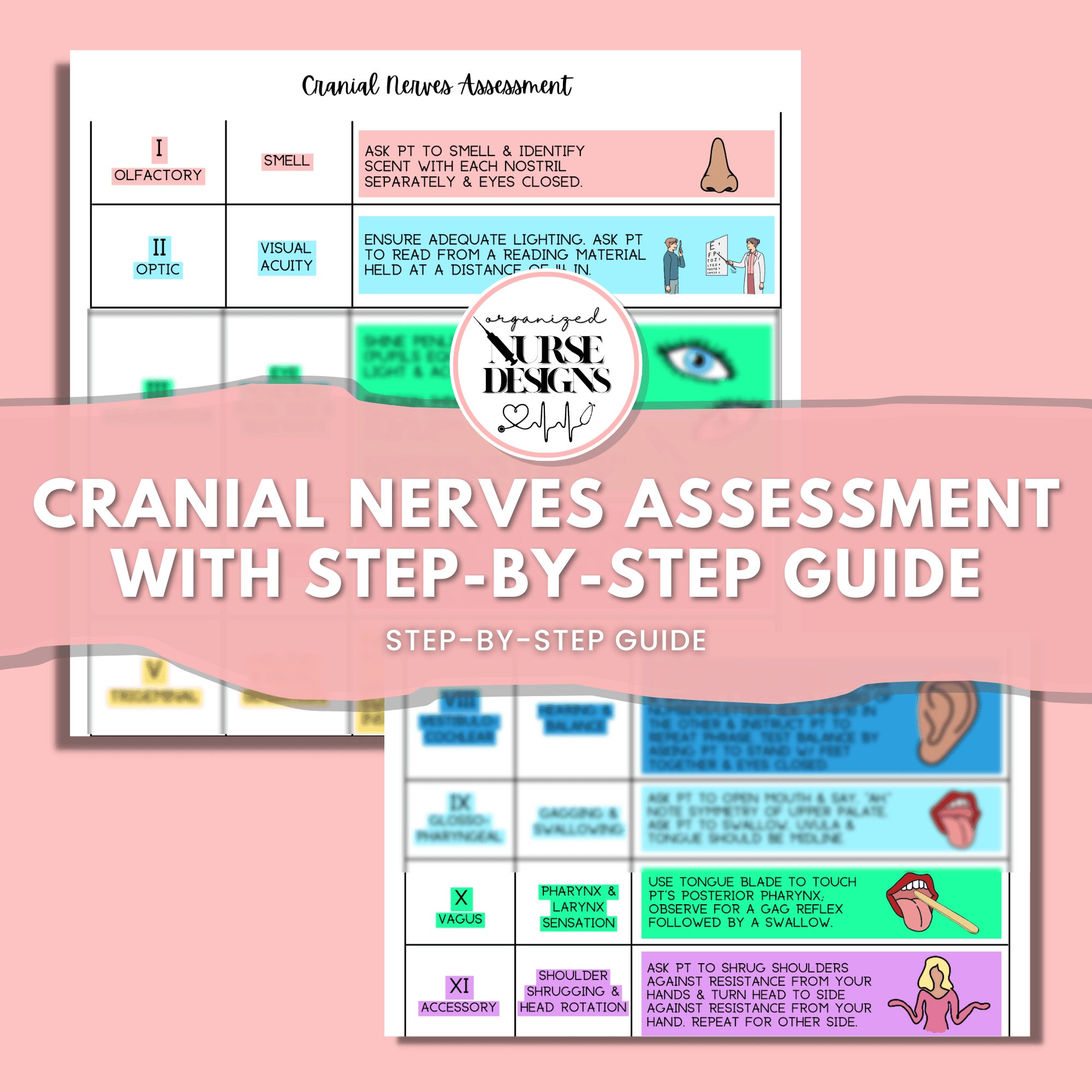 Cranial Nerves Assessment Step by Step Guide Nursing Study Guide Cranial Nerves Assessment Step by Step Guide Nursing Study Guide