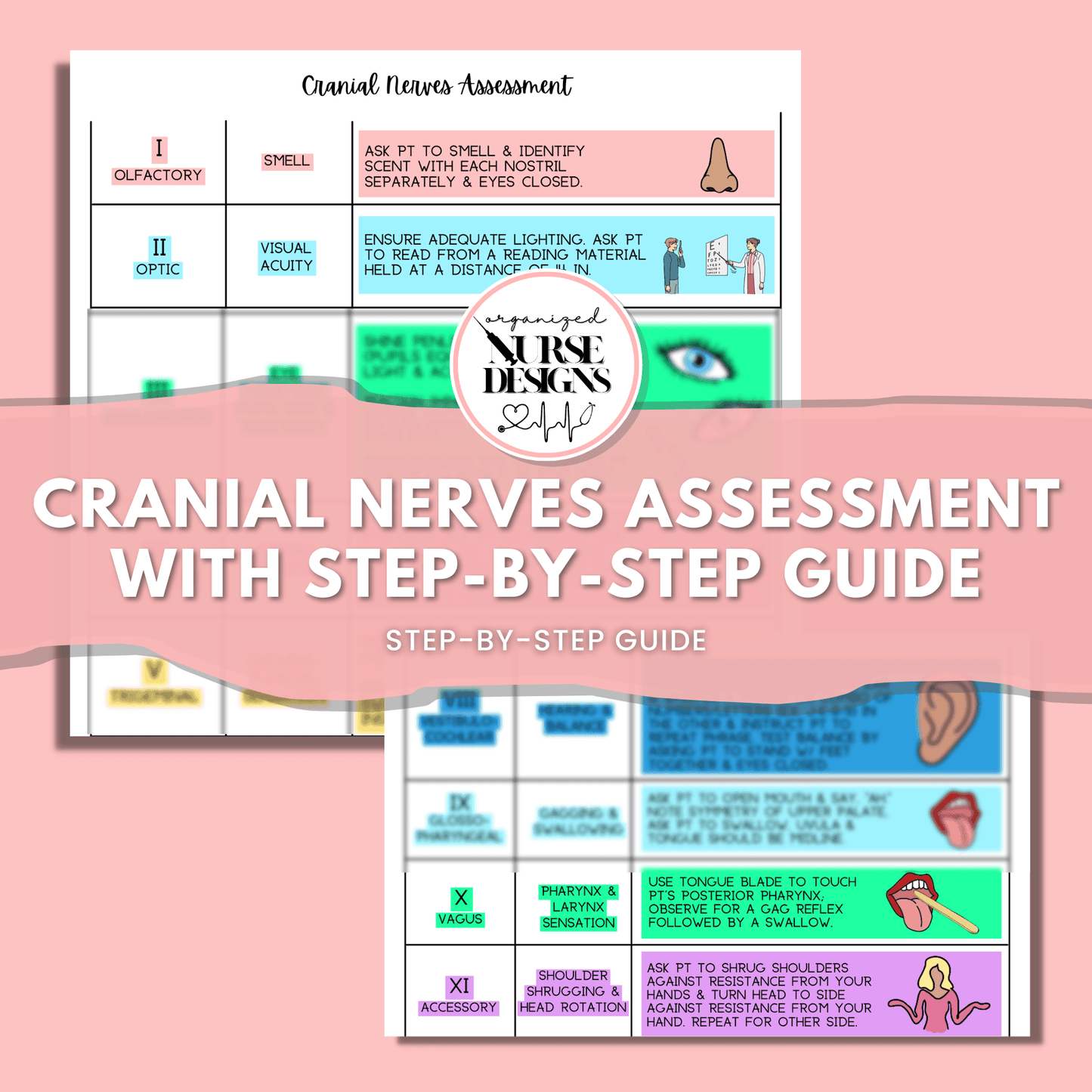 Cranial Nerves Assessment Step-by-Step Guide for Nursing Students by OrganizedNurseDesigns